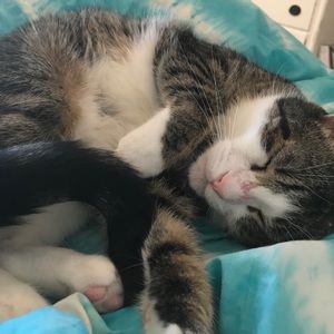 Meet your Posher, Annika